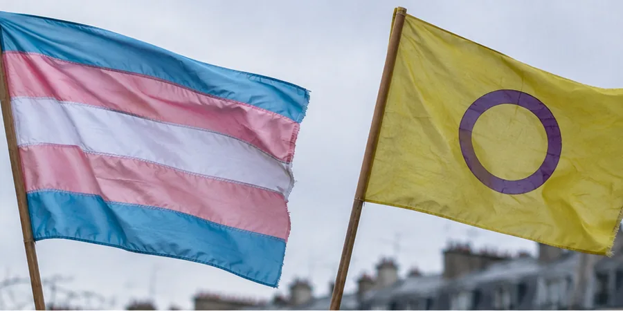 drapeau trans intersexe