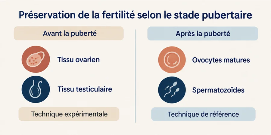 préserver la fertilité